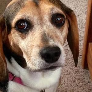 Meet your Posher, Angie